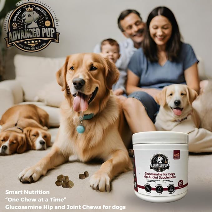 AdvancedPUP Hip and Joint Supplement - Effective Chondroitin MSM & Turmeric for Dogs - Dog Hip & Joint Care to Heal Dog Joint Stiffness & inflammation - Natural Glucosamine Supplement Tasty Bacon 90CT