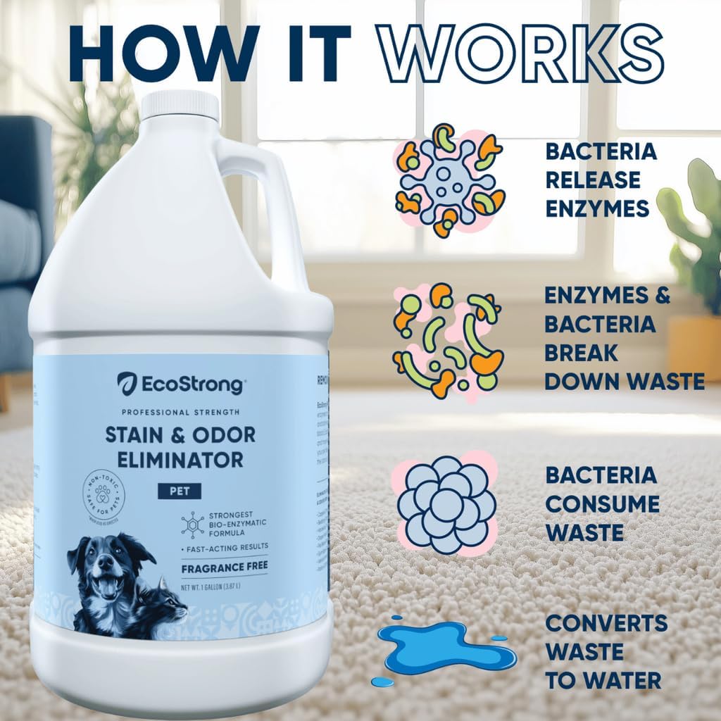 Pet Stain and Odor Remover - Cat Urine Enzyme Cleaner, Urine Destroyer for Dogs, Pet Urine Enzyme Cleaner [All New Fragrance Free] - 160oz Bundle