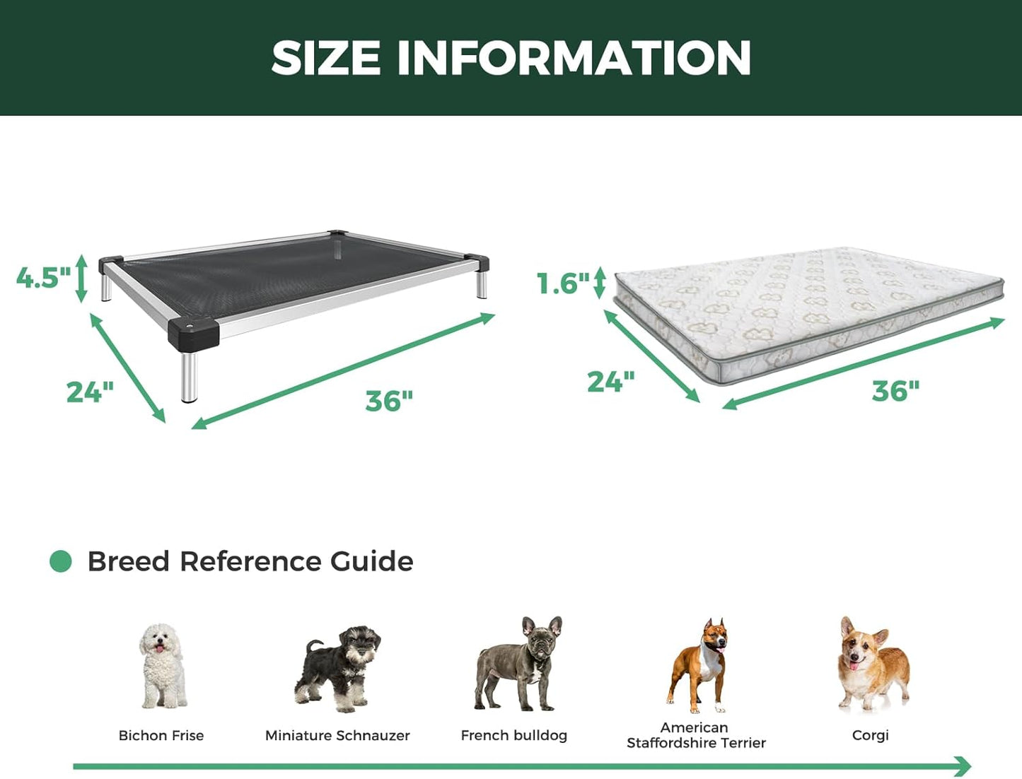 FXW TitanNest Chew-Proof Elevated Dog Bed, Raised Cot for Indoor/Outdoor/Camping Use, Durable & Waterproof Cooling Pet Bed with Exclusive Cover for Small Dogs, 36.0" L x 24.0" W x 4.5" H, Black