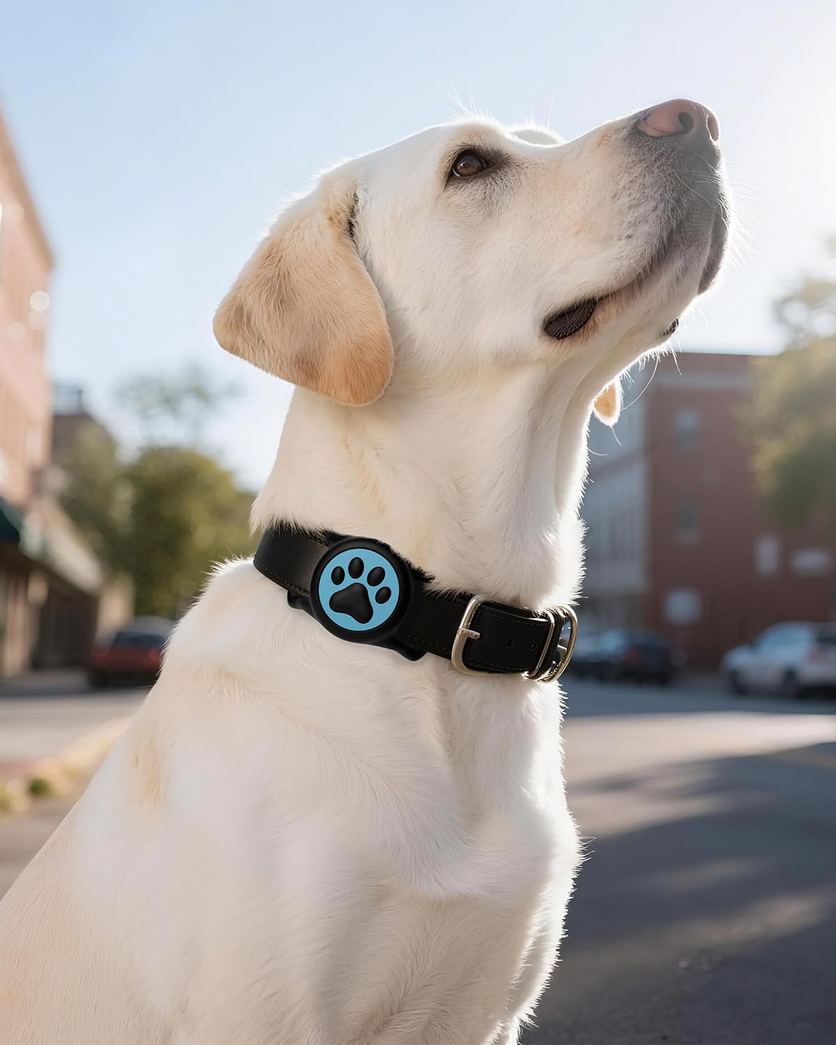 IP68 Waterpoof Dog Tag Holder, Stretchy Silicone Full Body Covered tag Holder for Dog Cat Collar Fit All Width Collar (Black & Blue, 1 Pack)