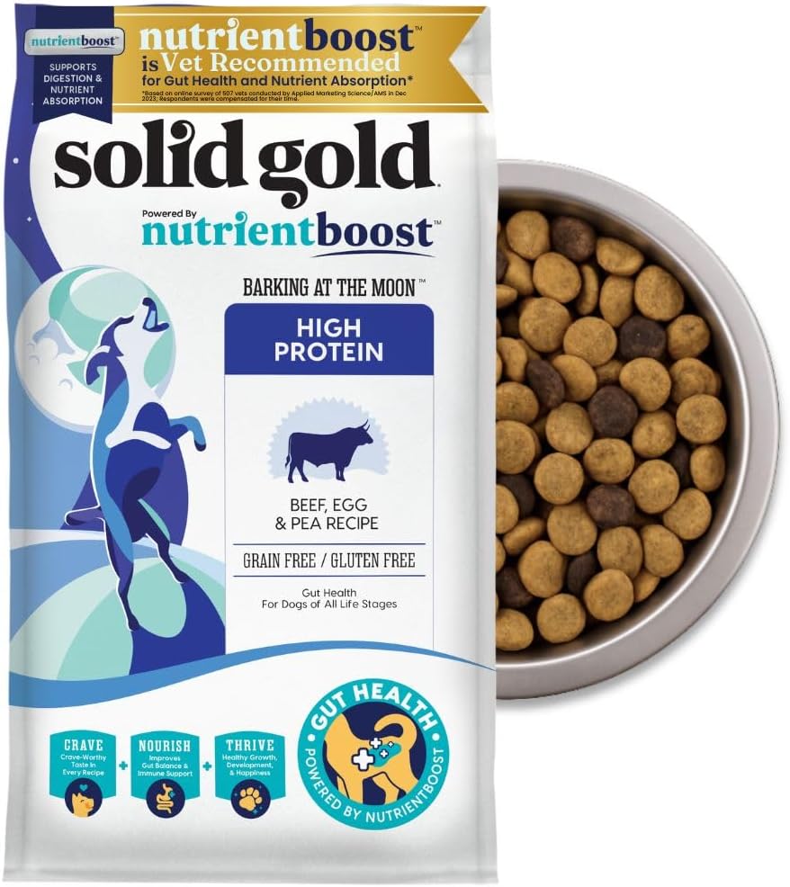 Solid Gold High Protein Dog Food Dry Dog Kibble - Premium Beef Protein & Digestive Probiotics for Energy, Muscle, Gut & Immune Support - Healthy Grain & Gluten Free Dogfood - Nutrientboost - 22 LB
