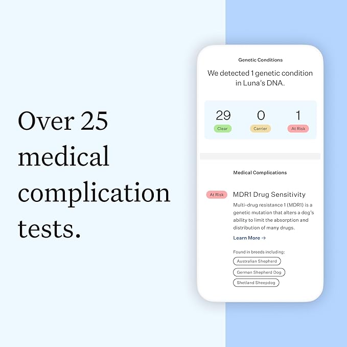 Wisdom Panel Essential Dog DNA Kit: Most Accurate Test for 365+ Breeds, 30 Genetic Health Conditions, 50+ Traits, Relatives, Ancestry - 1 Pack