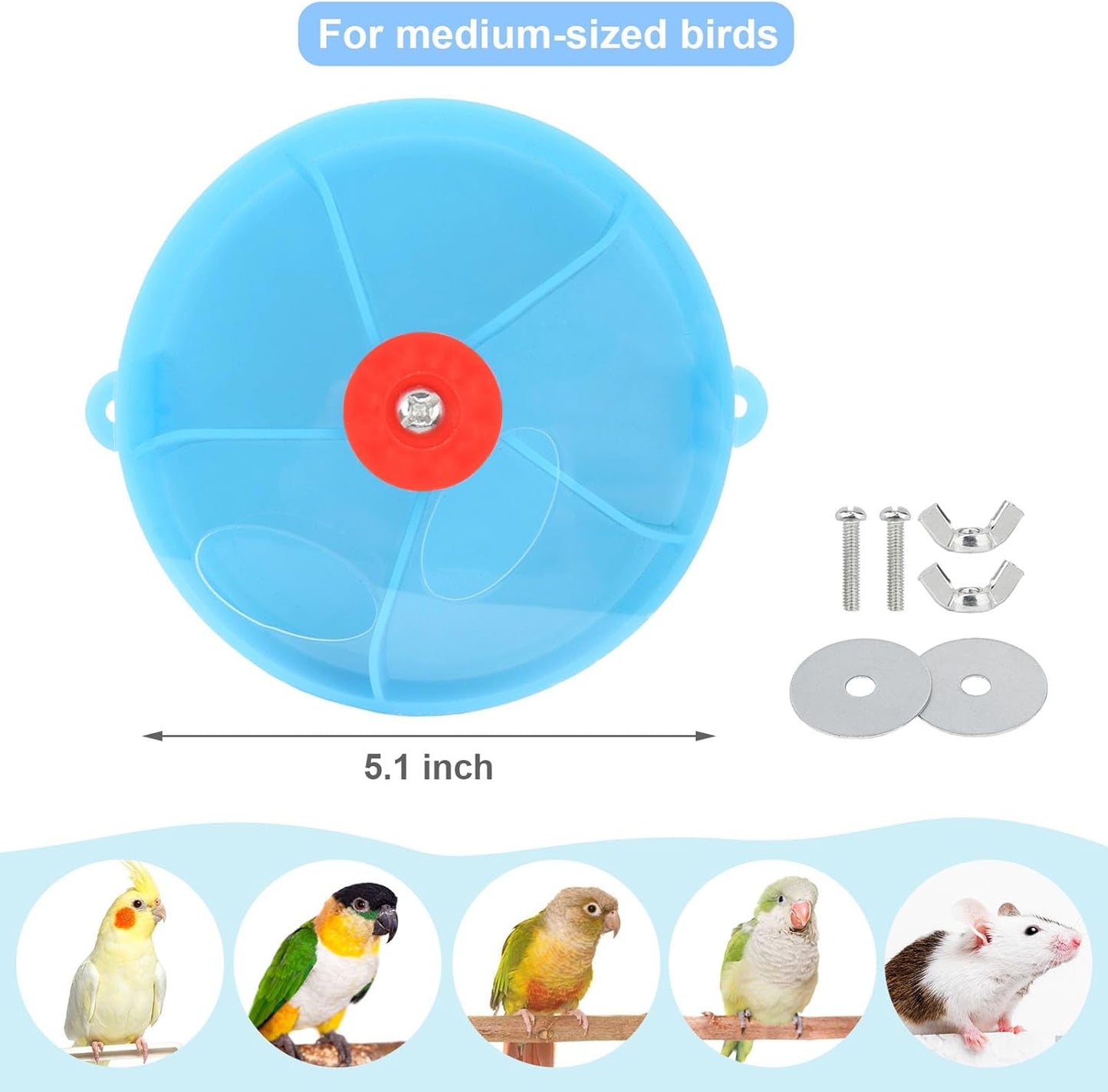 Bird Creative Foraging System Wheel Seed Food Ball Rotate Training Toy for Small and Medium Parrots Parakeet Cockatiel Conure (Blue)