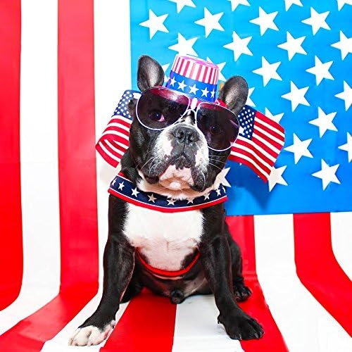 ComfortFlex Martingale Dog Collar - 1.5" Wide, Reflective, Adjustable, Fully Padded Nylon, Gentle Control, Escape-Proof, Limited Slip Design, Made in The USA, XLarge, Blue Jay