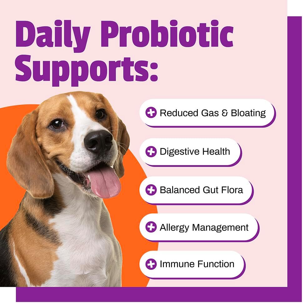 Pet Naturals Daily Probiotic for Dogs, 120M CFUs - Pre and Probiotics for Dogs Digestive Health, Gut Health, Immune Support, Diarrhea, Allergies and Itching - 60 Chews, Duck Flavor