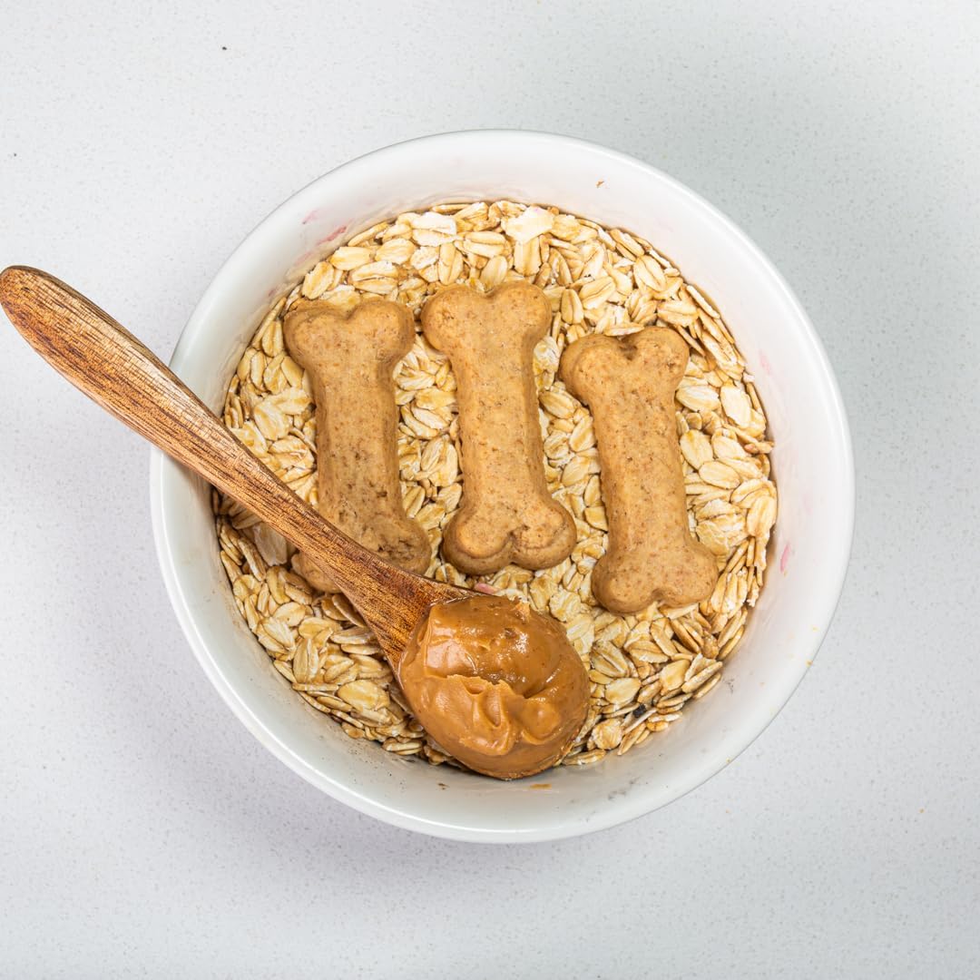 Activa 2lb Peanut Butter Gourmet Dog Biscuits | Crunchy Dog Treats | (Medium, Peanut Butter)