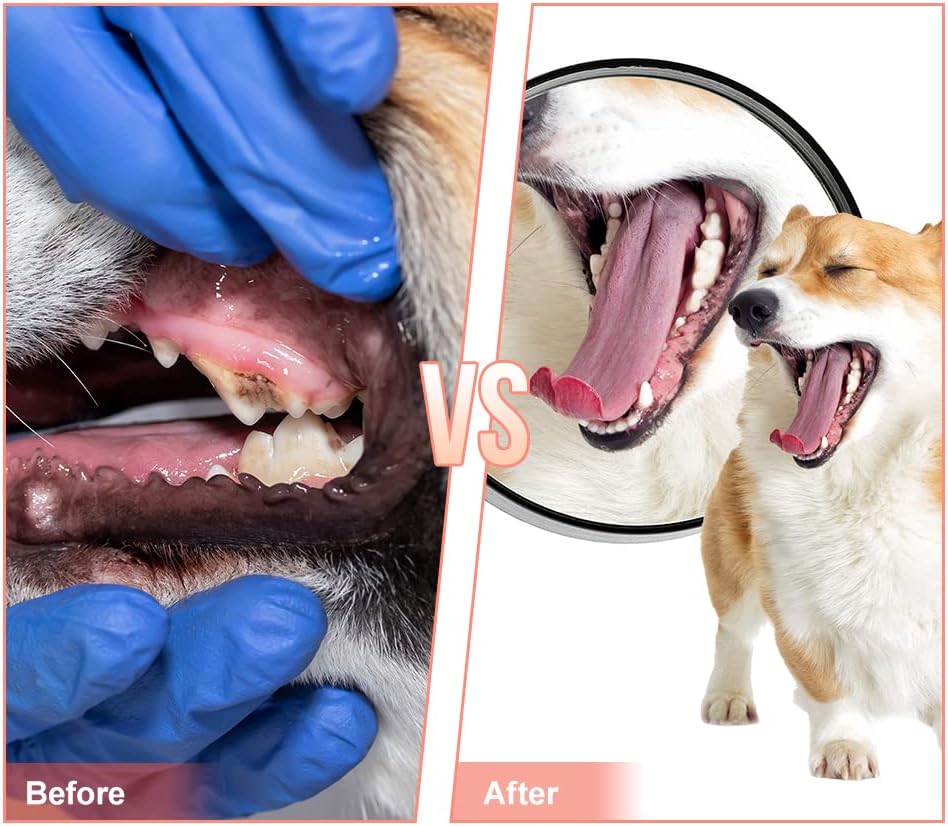 Dog Chew Toy,Durable Rubber Slipper Toy for Puppy,Dog Tough Toys for Pet Training and Cleaning Teeth,Interactive Puppy Toys Aggressive Chewers Small Meduium Breed (Color)