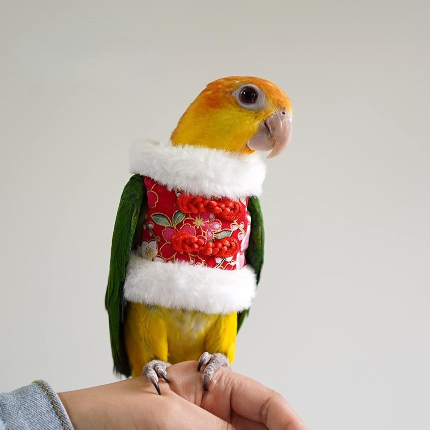 Bird Costume Bird Flight Suit Bird Clothes Cosplay Photo Prop for Parrots Parakeet Cockatiel Sun Conure, Bird Hoodie Small Animals Apparel (Red, Medium)