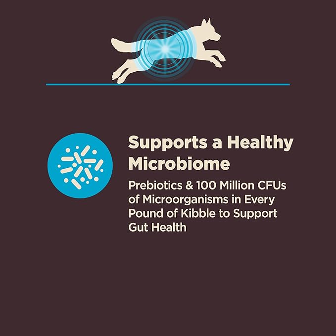 Wellness CORE Digestive Health Dry Dog Food, Wholesome Grains, Natural, Recipe for Dogs with Sensitive Stomachs, Whitefish & Brown Rice, (22-Pound Bag)