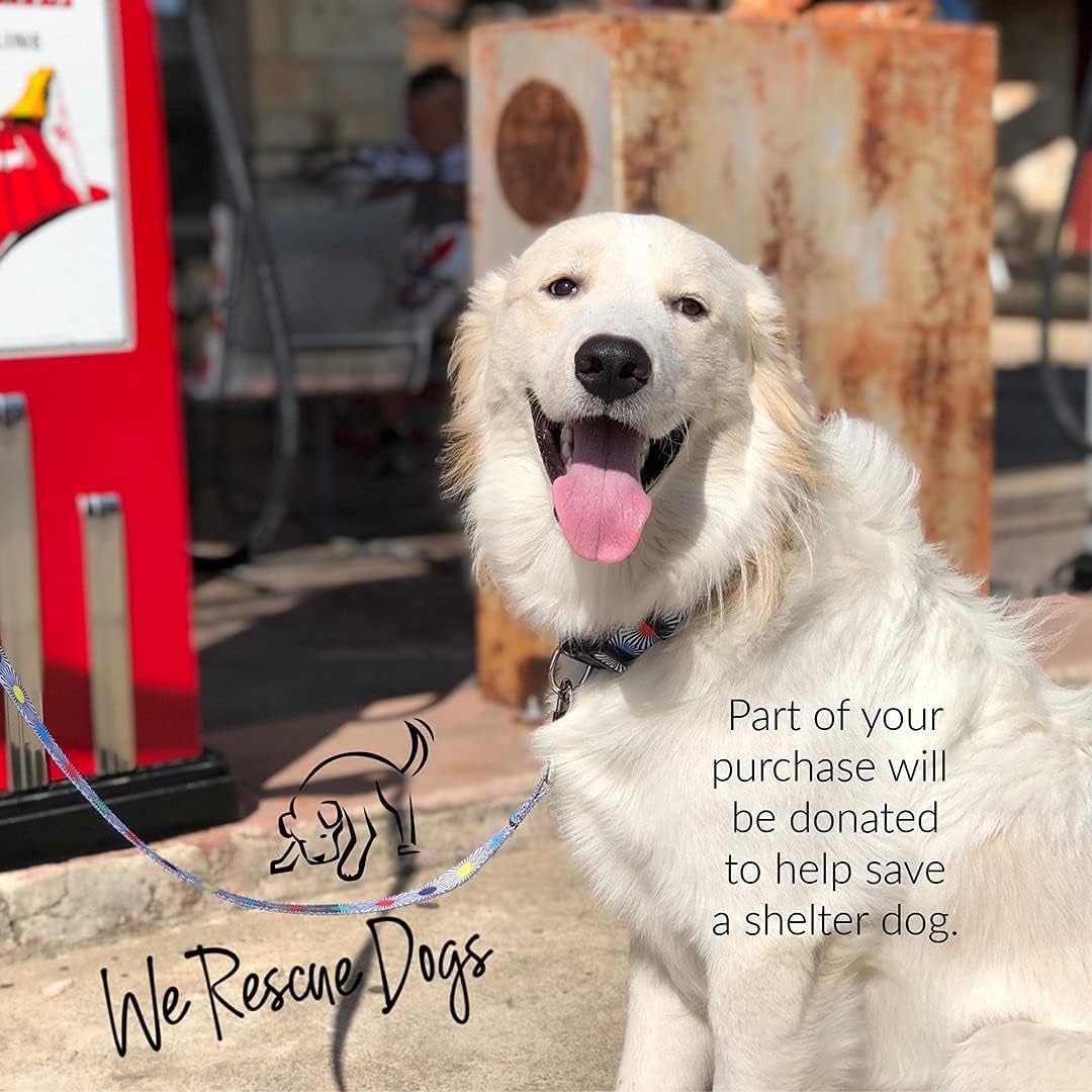 Lucky Love Dog - Adjustable Dog Collar with Easy Click Buckle for Small to Large Ones, Durable, & Comfortable for Male & Female Dogs, Pet Collar for Puppies & Adult Dogs - SOCO, Medium