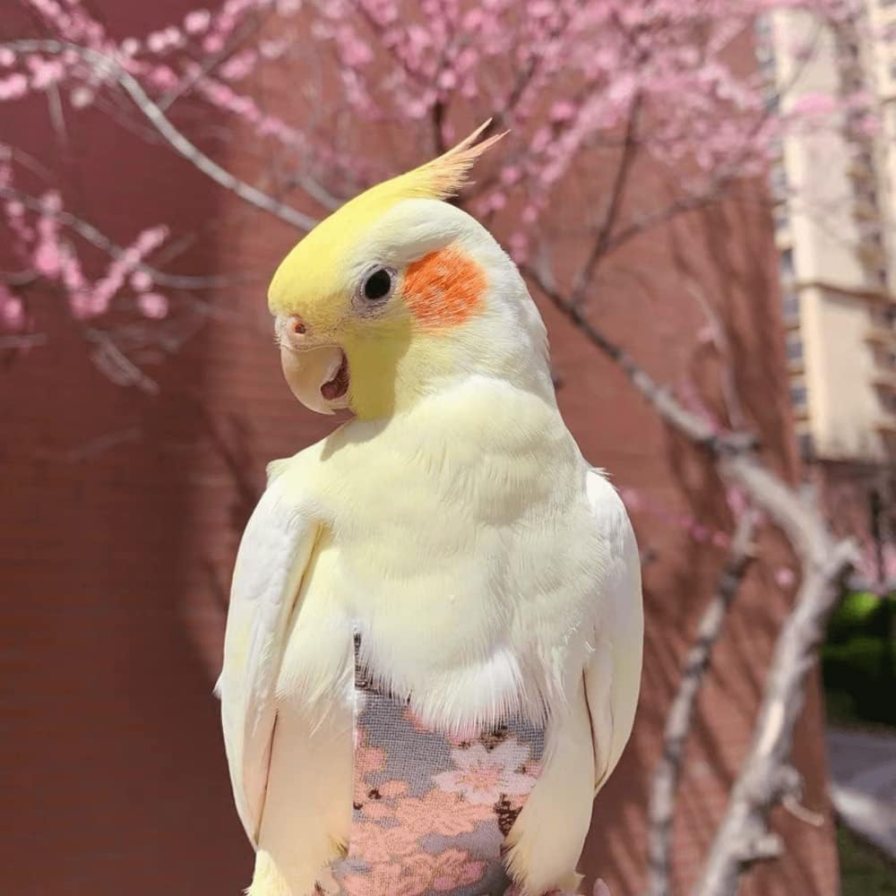 Bird & Parrot Diapers - Flight Suit Liners for Monk Parakeets, Cockatiels (Small, Pink)