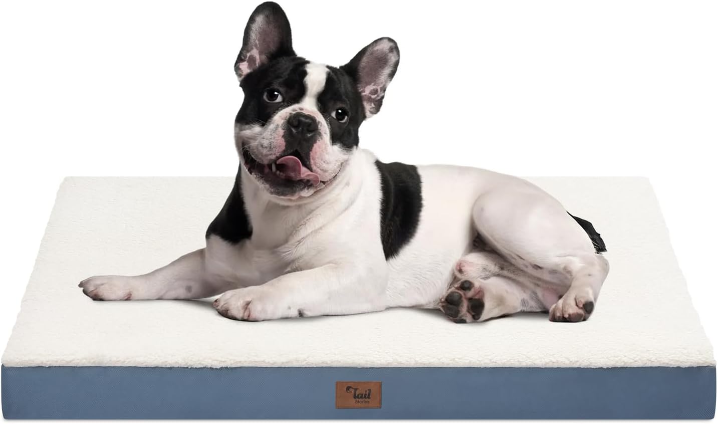 Medium Dog Bed for Medium/Small Dogs, Orthopedic Dog Beds with Removable Washable Waterproof Cover, Egg Crate Foam Pet Bed Mat, Blue White