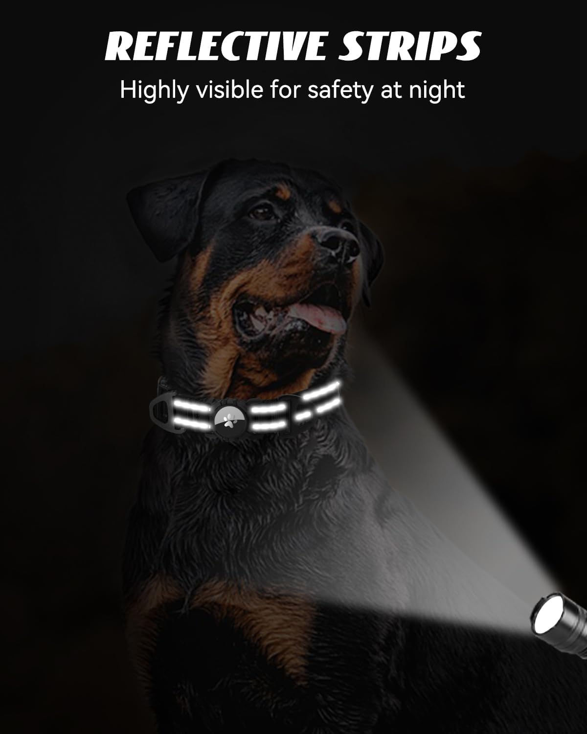 Joytale Airtag Dog Collar, Dual D-Rings, Reflective Pet Collar with Waterproof AirTag Holder, Soft Padded Adjustable for Medium Dogs, Black, M