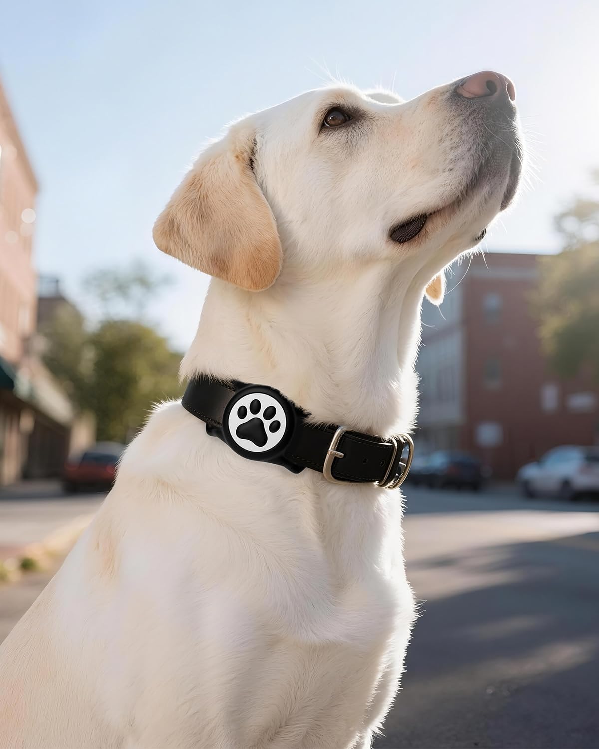 IP68 Waterpoof Dog Airtag Holder, Stretchy Silicone Full Body Covered Apple Air Tag Holder for Dog Cat Collar Fit All Width Collar (Black, 1 Pack)