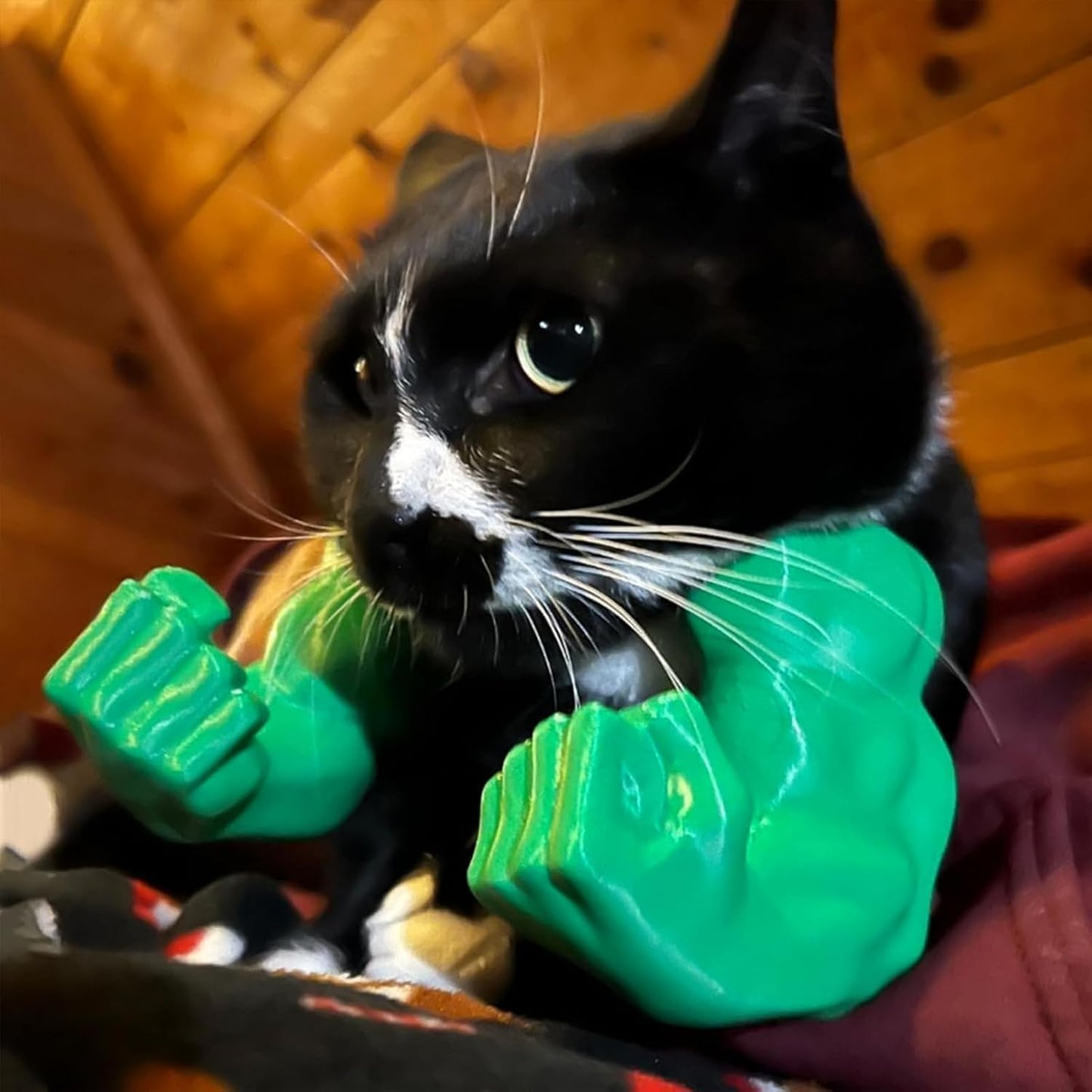 Cat Muscle Arms, Cat Halloween Costumes, 3D Printed Muscle Arms Cats Accessory, Funny Pet Giant Hand Muscles Arm Costume, Kitten's Superhero Cosplay for Kitten Birthday Party Supplies (Green)