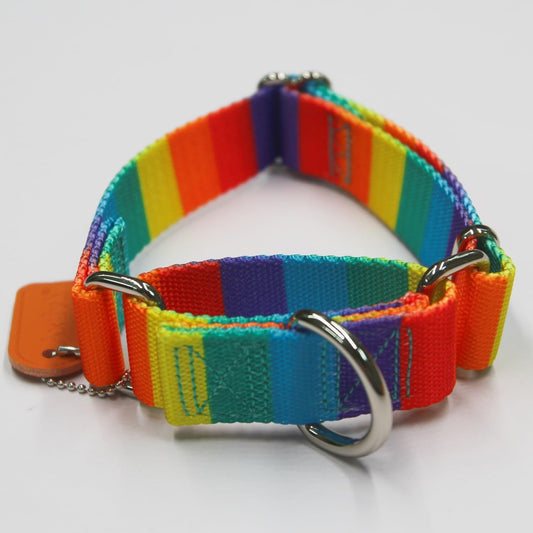 Martingale Dog Collar Colorful Gradient Fashionable - Anti-Escape Soft Durable Pets Collar for Walking Training Outdoor Daily Use -Small, Sunny Rainbow