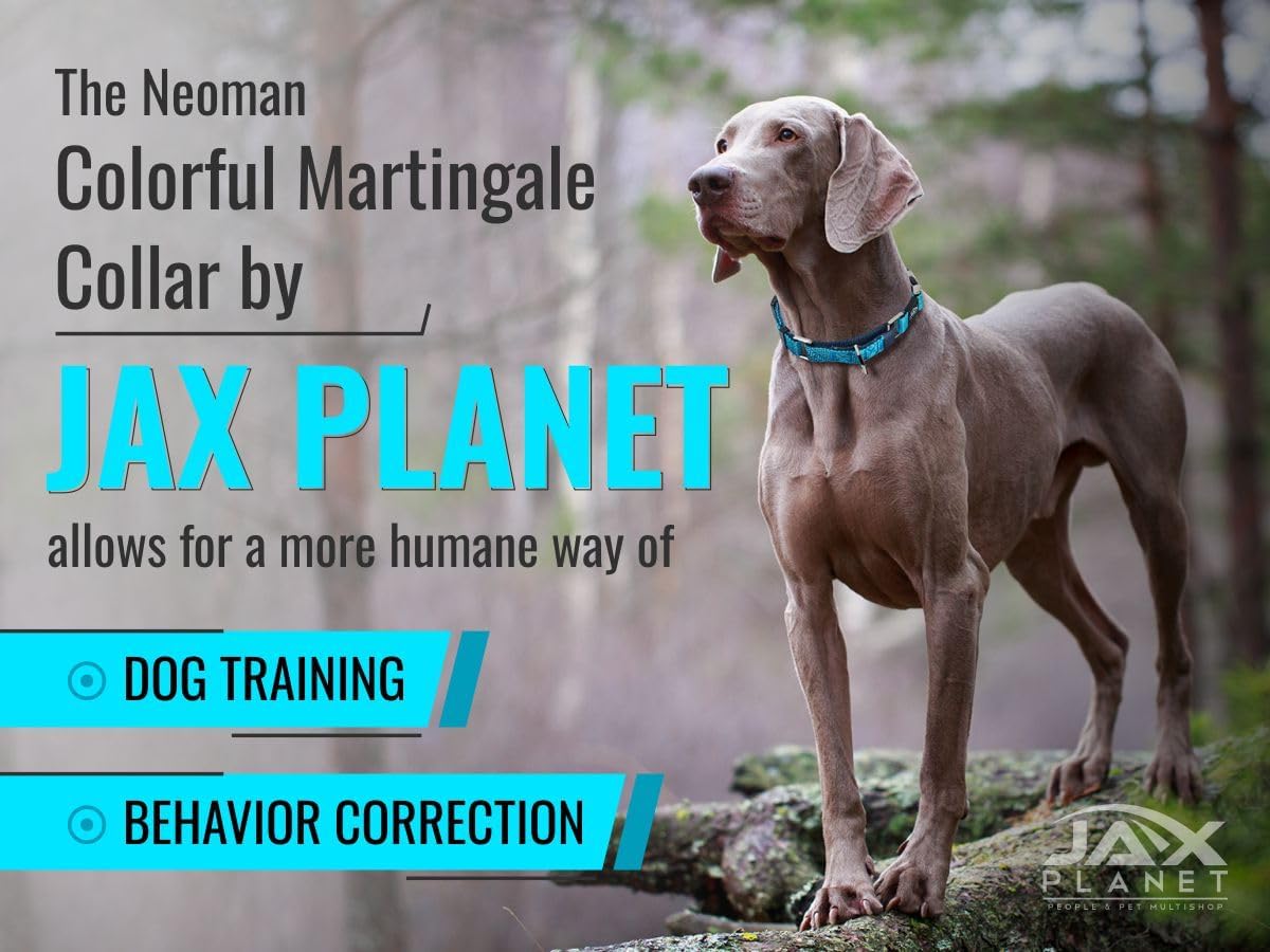 Orange Martingale Collar for Dogs - Heavy Duty Nylon Pet Collars for Escape-Free, No Pull Training & Walking with Alloy Metal Release Buckle & Reflective D Ring, One Time Adjustment, Safe & Secure, L