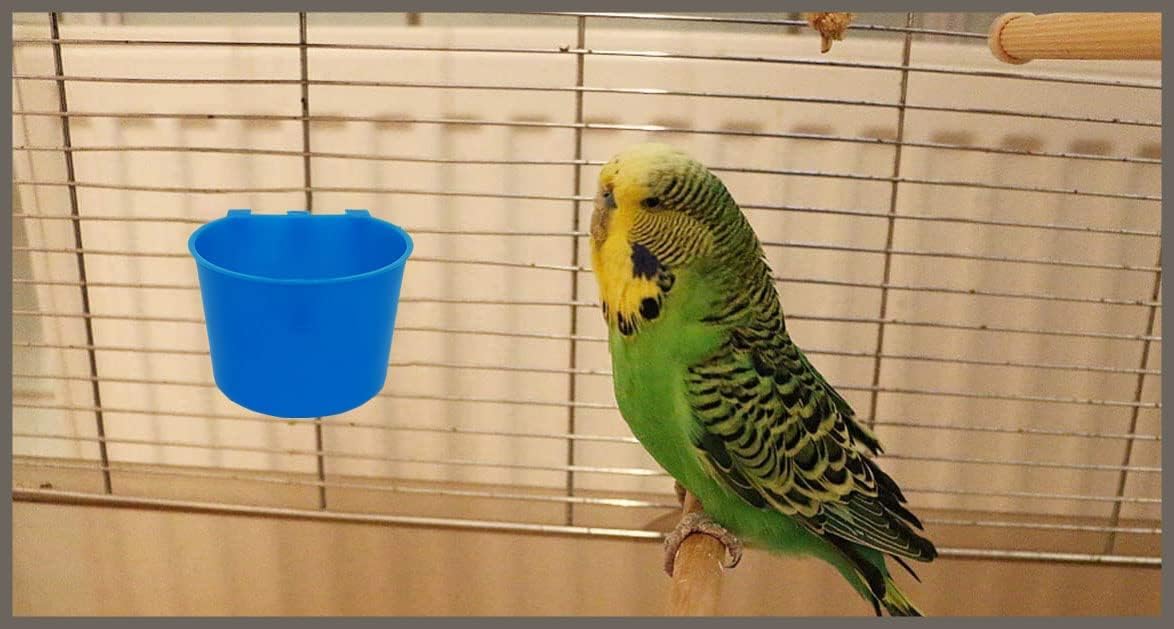 10 Pack Cage Cups Birds Feeders Seed Bowl Chicken Feeding Watering Dish Rabbit Water Food Hanging Wire Cages Box 8oz Coop Cups for Pet Parrot Parakeet Gamefowl Poultry Pigeon