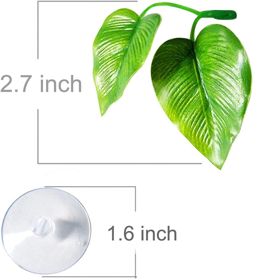 CousDUoBe 4 Pack Betta Fish Leaf Pad Improves Betta's Health by Simulating The Natural Habitat - Natural, Organic, Comfortable Rest Area for Fish Aquarium