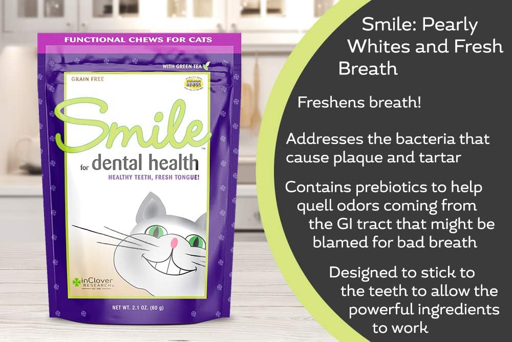 In Clover Smile Daily Dental Health Soft Chews for Cats, Support Healthy Teeth and Fresh Tongue with Catnip and Green Tea, Prebiotics, and Chlorophyll for Fresh Breath, 10.5 oz