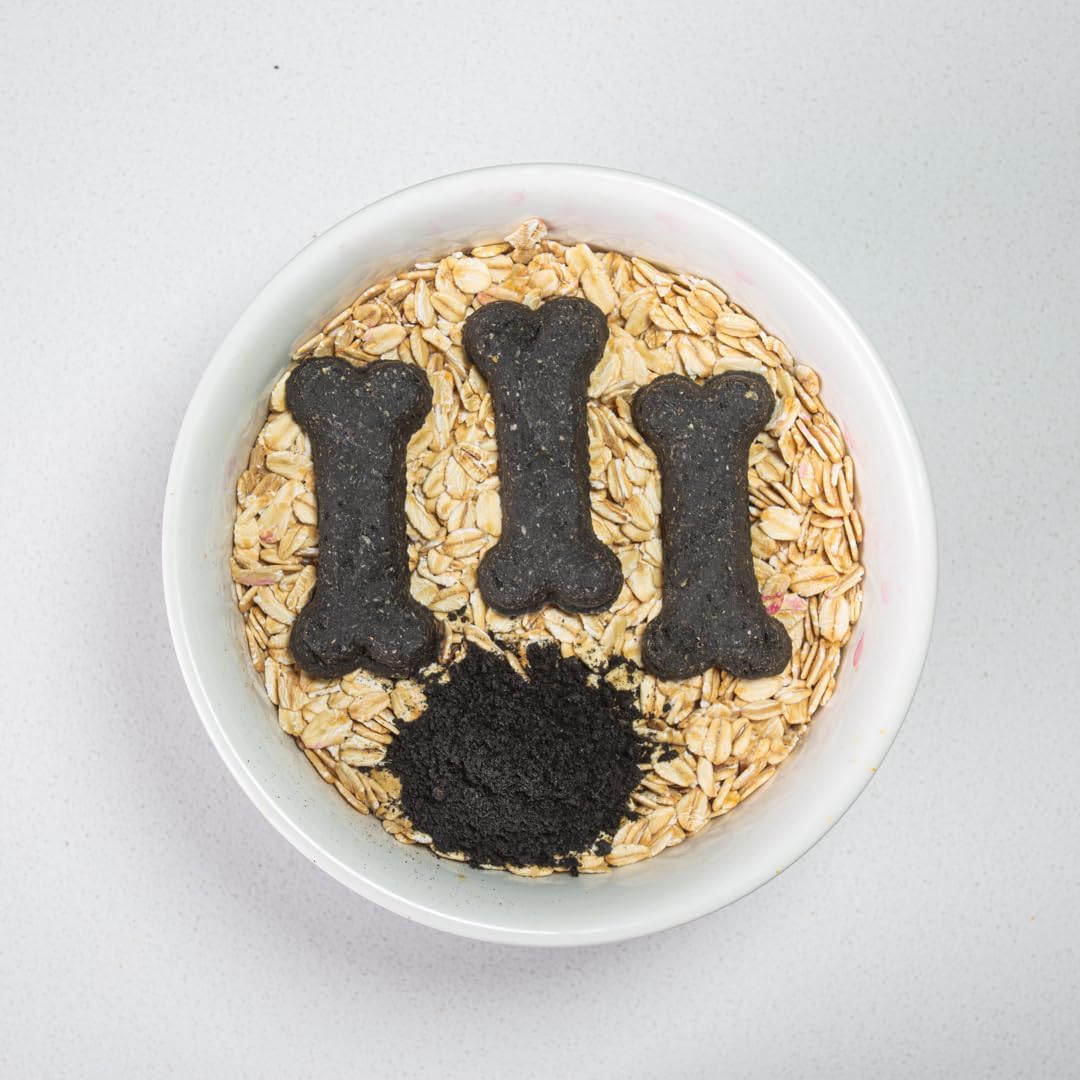 Activa 2lb Charcoal Gourmet Dog Biscuits | Crunchy Dog Treats | Charcoal Flavor Treats