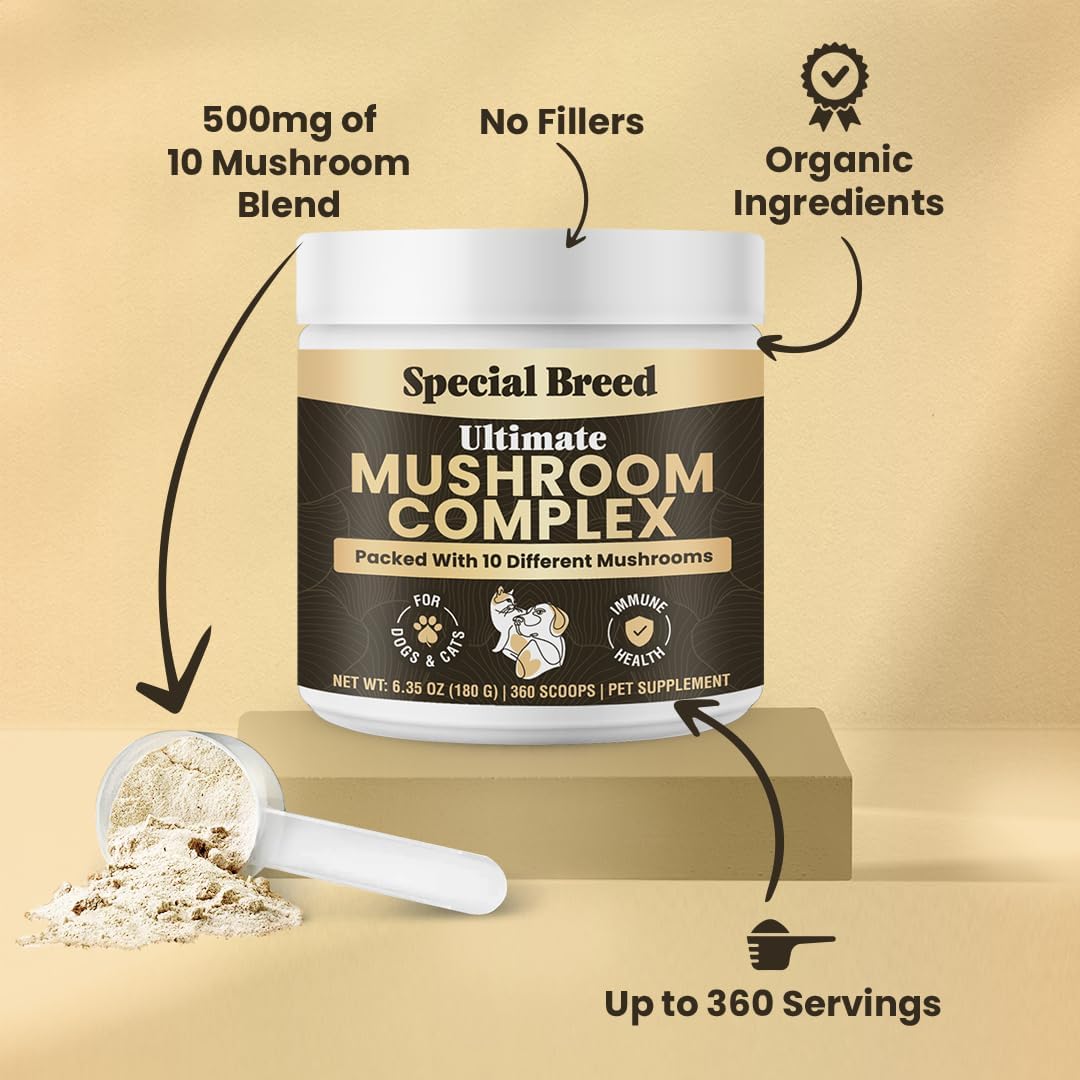 Mushroom Powder for Dogs & Cats - Organic Mushroom Complex for Immunity Support, Immune Function, Cognition, Vitality - Ten Mushroom Supplement with Turkey Tail, Lion's Mane, Reishi - 360 Scoops