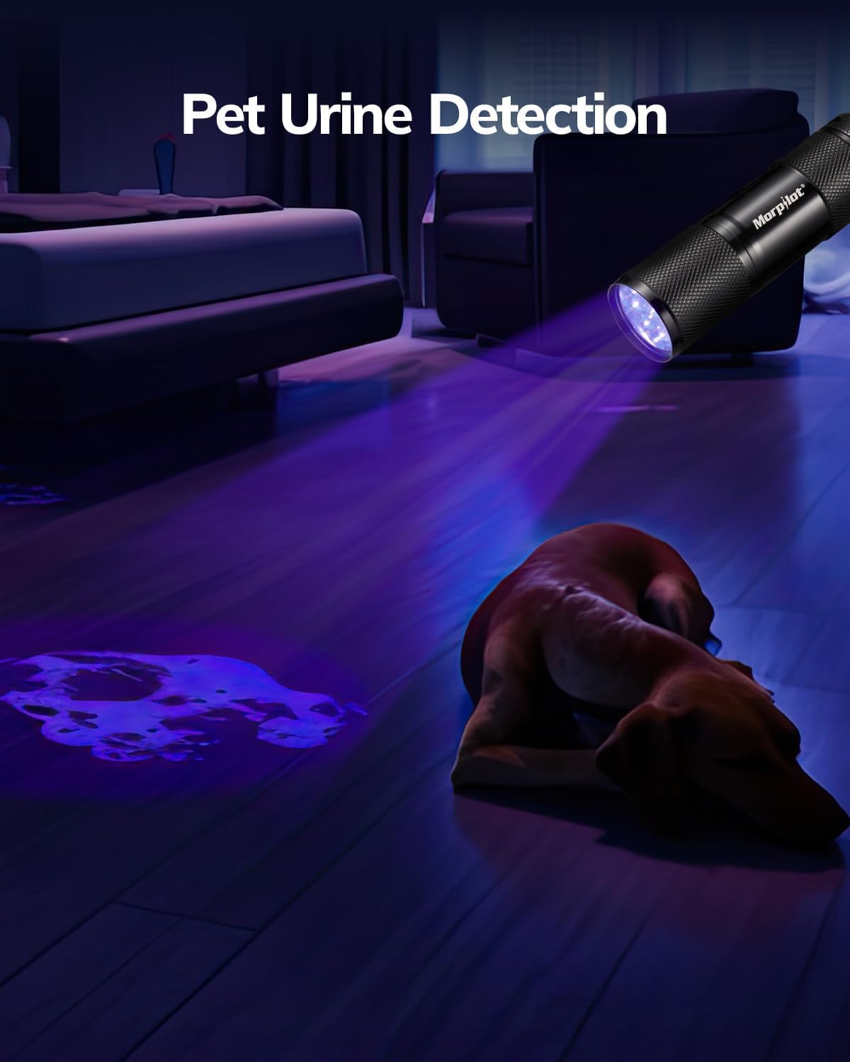 Morpilot Black Light Flashlight Mini UV Flashlight: 395nm Blacklight Flashlights, 9 Led Pet Urine Detector Light for Dog/Cat, Dry Stains, Resin Curing, Bed Bug