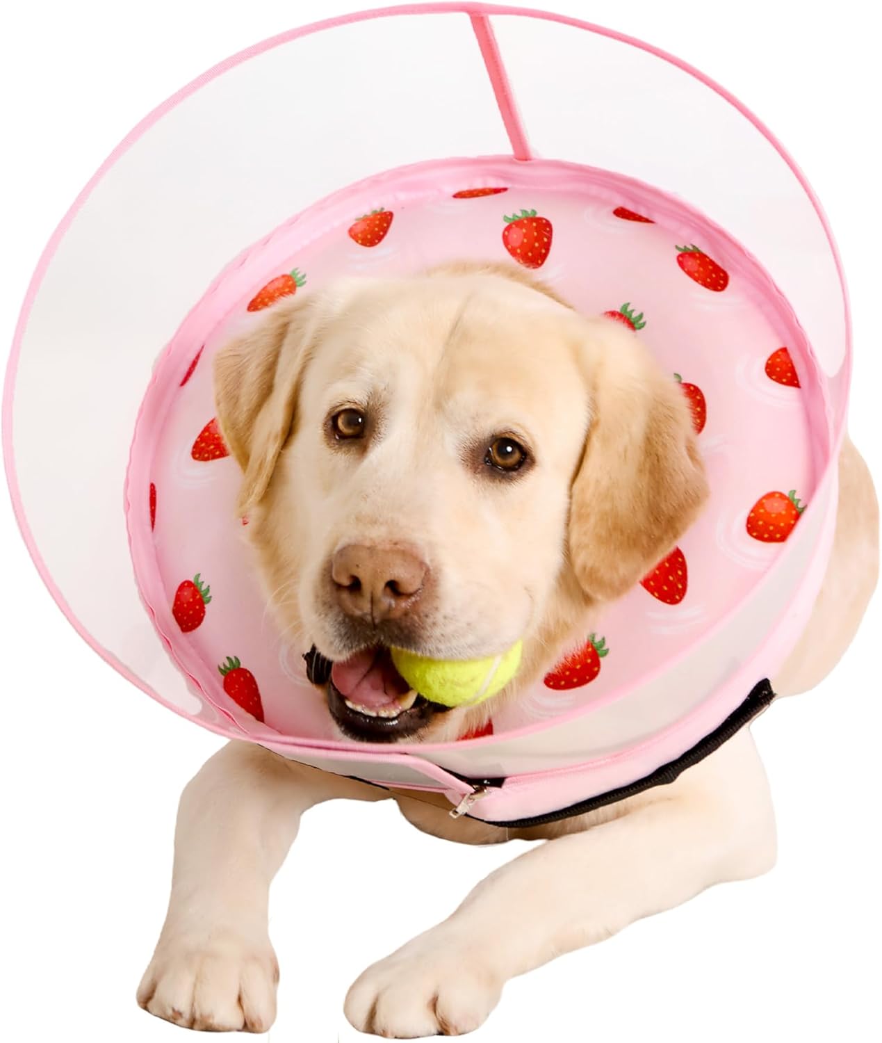 Inflatable Dog Cone Collar for Large Medium Small Dogs, Soft Dog Donut Collar Adjustable Recovery Cone for Pets After Surgery, Extra Enhanced Anti-Licking Guard Shield (Strawberry Print, X-Large)
