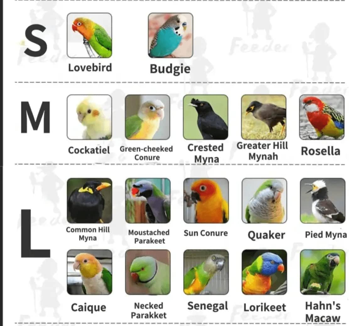 Bird Flight Suits Diapers, Parrot Flight Suits Diapers for Monk Parakeets Cockatiel Conure Lovebird Budgie, Parrot Clothes, Bird Training Nappy Suit Liners Clothes (Medium,Blue-A)