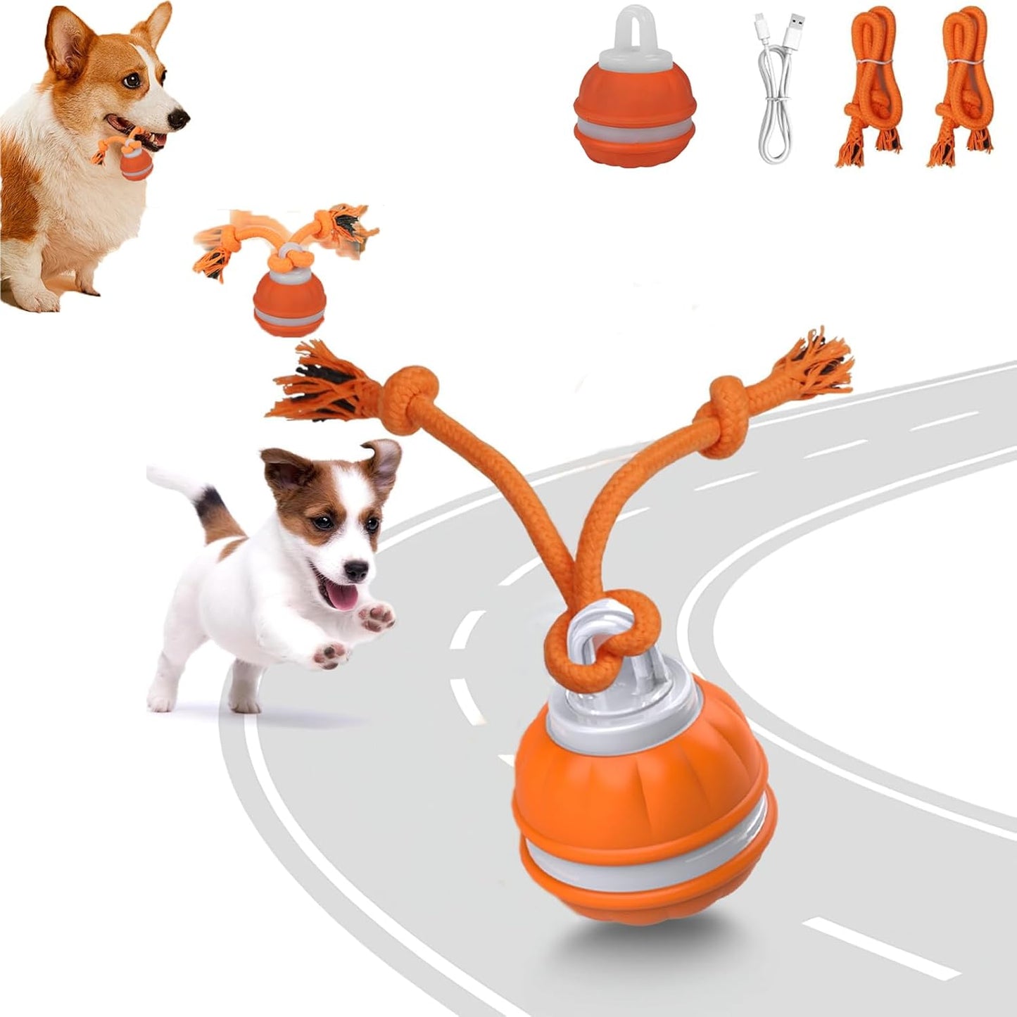 Interactive Dog Toys for Small Dogs,Moving Puppy Toys,Puppy Toys,Active Rolling Dog Ball,Dog Toys to Keep Them Busy for Daily Training