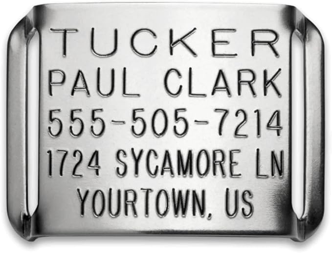 Engraved Dog Tag - Boomerang Tags, Dog Tags for Thick Collars, Personalized Slide-on Stainless Steel (Closed End Small for 5/8 Inch Wide, Thick Nylon or Leather Collars with Belt Buckle)