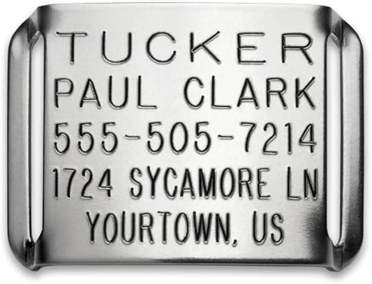 Boomerang Tags Dog Tag for Thick Collar - Deep Engraved Stainless Steel Lasts Your Pets Lifetime - Slide on Pet Name Tag (Closed End Large for 1 Inch Leather or 2-Ply Nylon Collars with Belt Buckle)