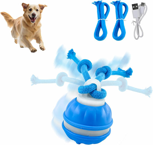 Interactive Dog Toys，Peppy Pet Ball for Dogs，Motion Activate Rolling Ball for Puppy/Medium Dogs，Active Rolling Dog Bal l Wicked Bal l for Daily Training, Dog Toys to Keep Them Busy (Blue)