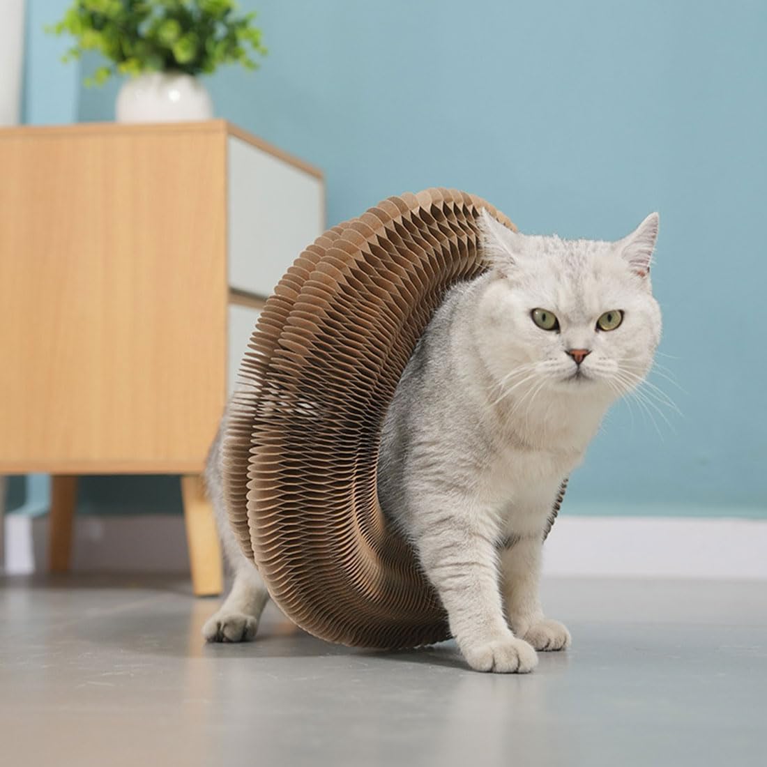 Kitty Curlz, Kitty Curlz Cat Toy, Magic Organ Cat Scratching Board, Snufflepaw Accordion for Cats, Interactive Scratch Pad, Recyclable Cat Scratcher.