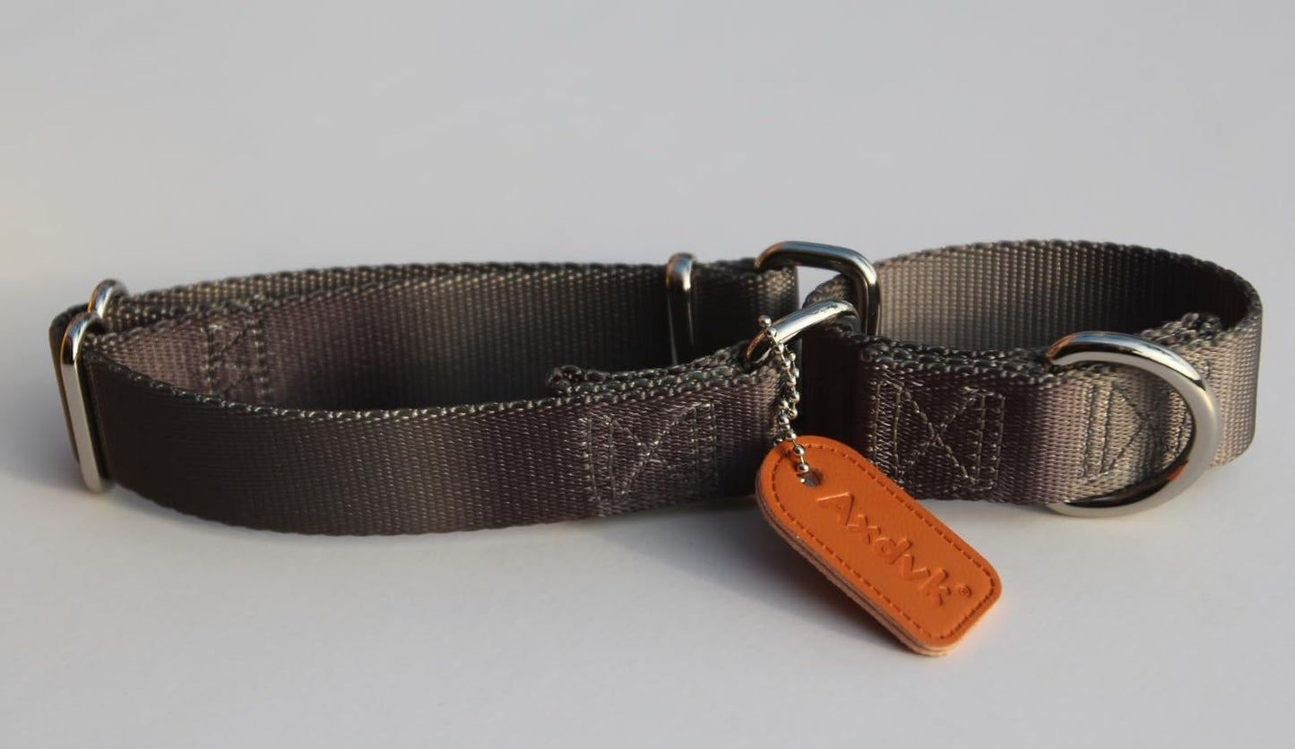 Martingale Dog Collar Colorful Gradient Fashionable - Anti-Escape Soft Durable Pets Collar for Walking Training Outdoor Daily Use -Small, Dark Grey