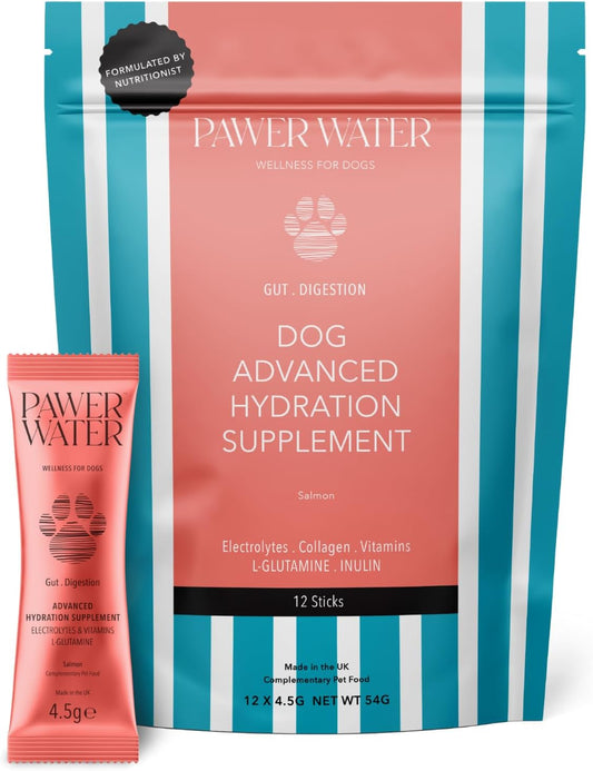 Dog Gut Health Supplement with Salmon Oil, Prebiotics & Probiotics | Digestion Support Powder for Dogs | Sensitive Stomach, Loose Stool & Gas Relief | Natural Hydration Drink Mix