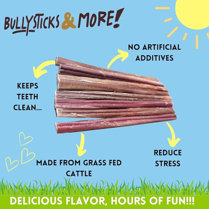 BULLYSTICKS & MORE 12 Inch Bully Sticks (Regular - 8 Pack) | Bully Sticks for Medium Dogs | 100% Grass Fed Beef | Dog Parents Choice Bully Stick Dog Chews | No Hide Bully Bones