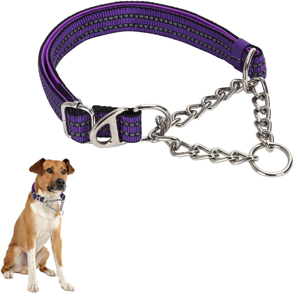 Martingale Collar for Dogs with Steel Chain, No Pull Slip Cinch Choker Choke Collar Training Escape Proof Heavy Duty Dog Collar for Small Medium Large Pet Boy Male Dogs,