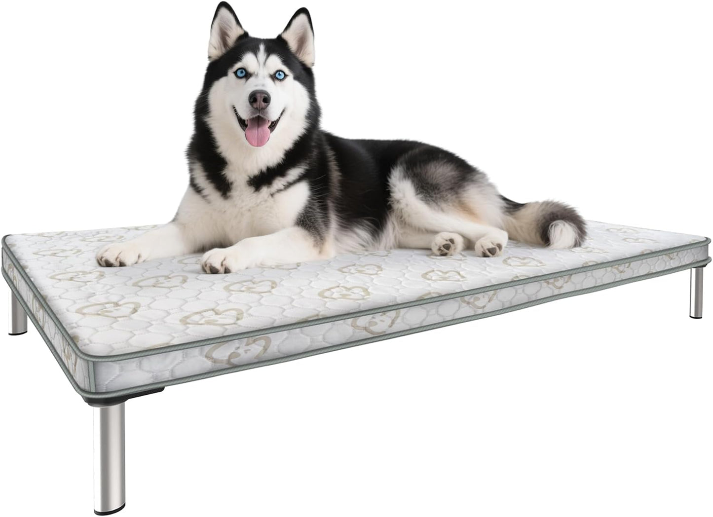 FXW TitanNest Chew-Proof Elevated Dog Bed, Raised Cot for Indoor/Outdoor/Camping Use, Durable & Washable Padded Pet Bed with Exclusive Cover for Medium Dogs, 42.0" L x 27.0" W x 5.0" H, Gray