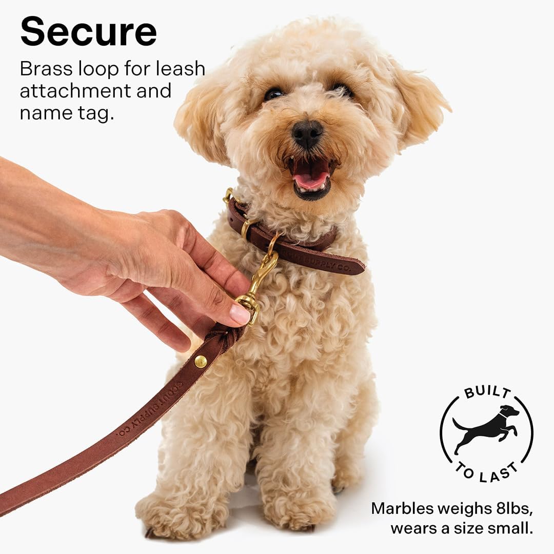 Classic Genuine Leather Dog Collar | Dog Collars for Medium Dogs, Small Dogs, Large Dogs & Extra Large Dog | Wide Dog Collar | Heavy Duty Collar (Dark Brown, XX Large)