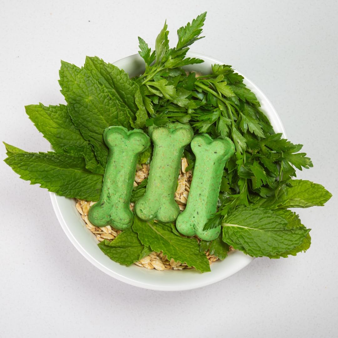 Activa 2lb Mint Gourmet Dog Biscuits | Crunchy Dog Treats | (Medium, Mint & Parsley)