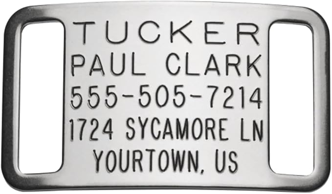 Boomerang Tags Slide on Dog ID Tags Engraved for Pets - Collar Tag, Personalized, Silent, Custom Slide-on Stainless Steel Dog Name Tag (Closed End Large for 1 Inch Wide Nylon Collars with Belt Buckle)