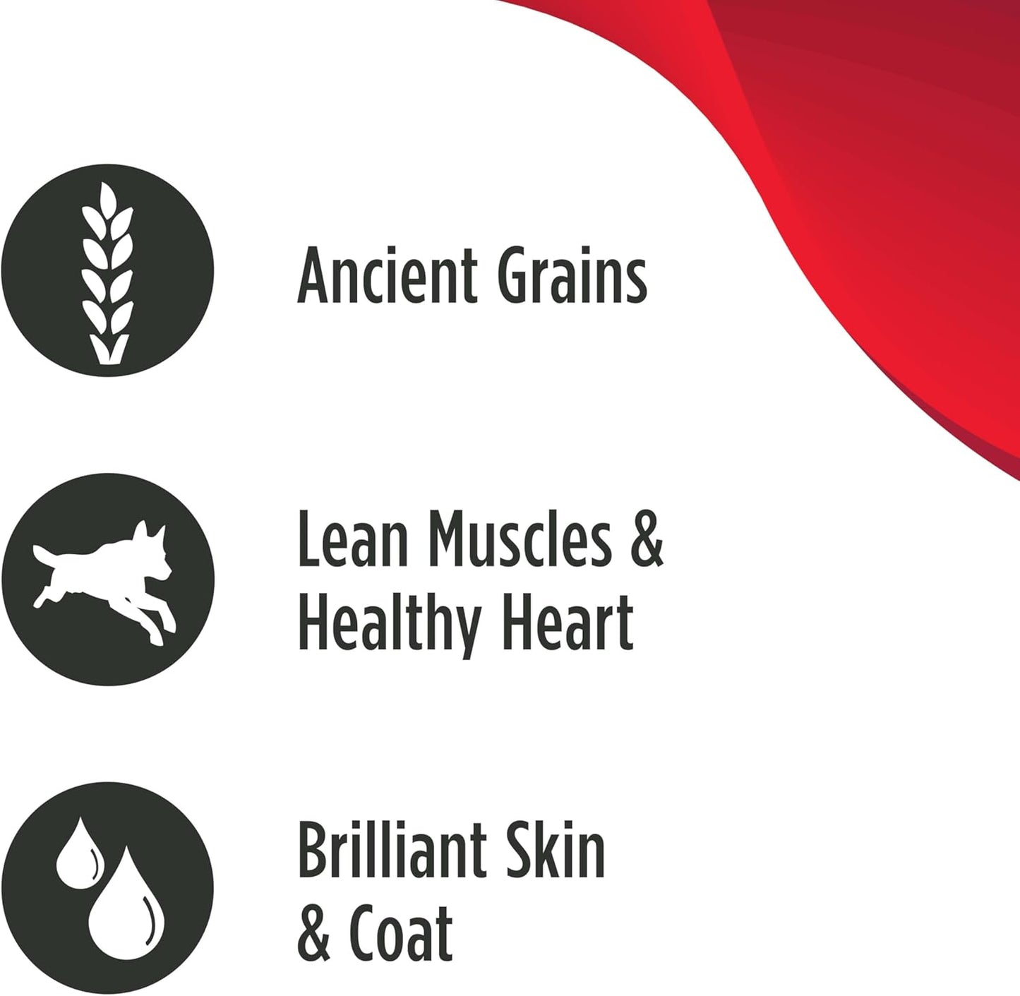 Nulo Ancient Grains Savory Stew with Whole Ingredients Puppy & Dog Food, Beef and Seabass in Broth, 6.0 Ounce, 8 Cans