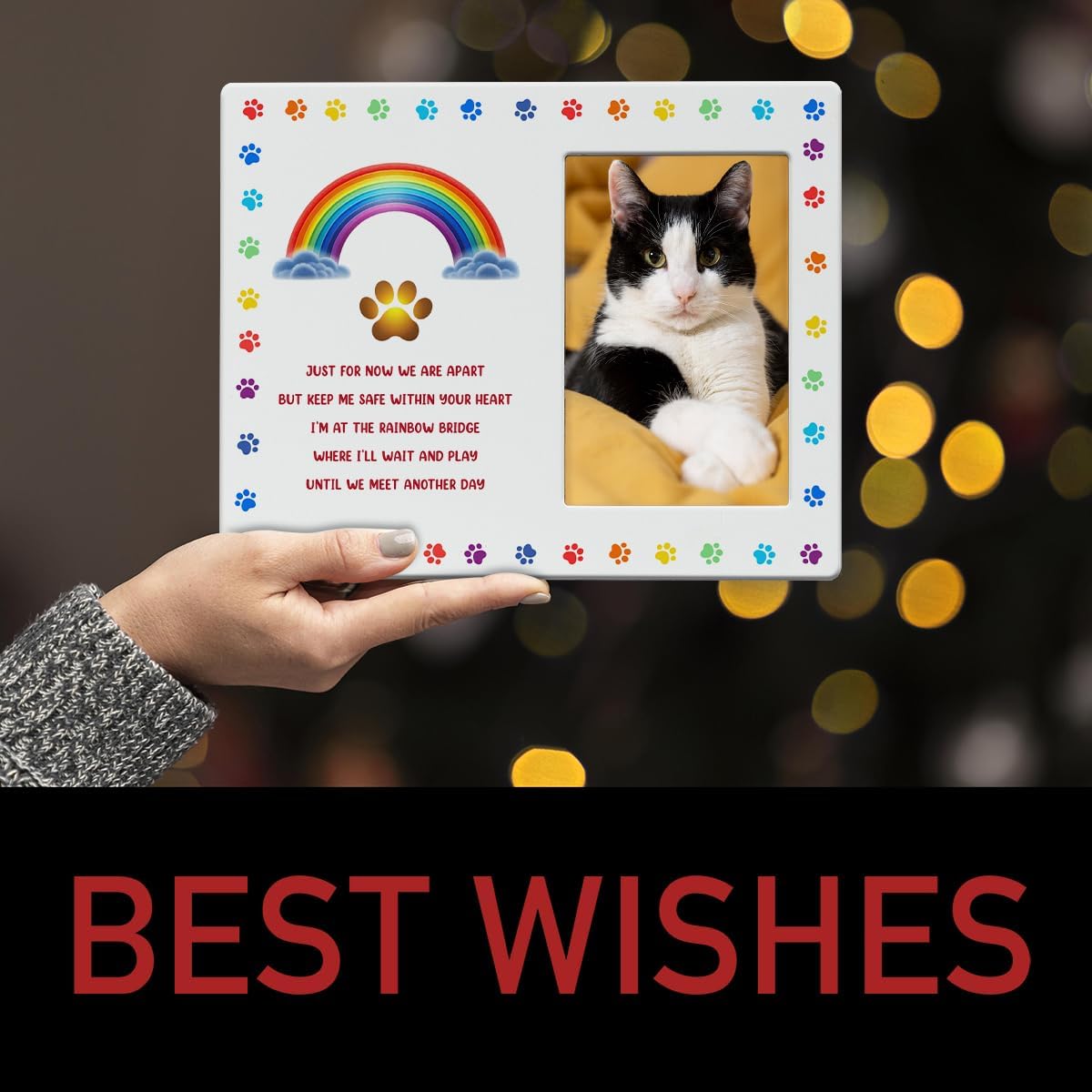 IAXIC Pet Cat Memorial Gifts for Loss of Cat Sympathy Gift Memorial Picture Frame, Pet Memory Picture Frame, Cat Frames For Pictures Memorial, Pet Cat Memorial Photo Frame