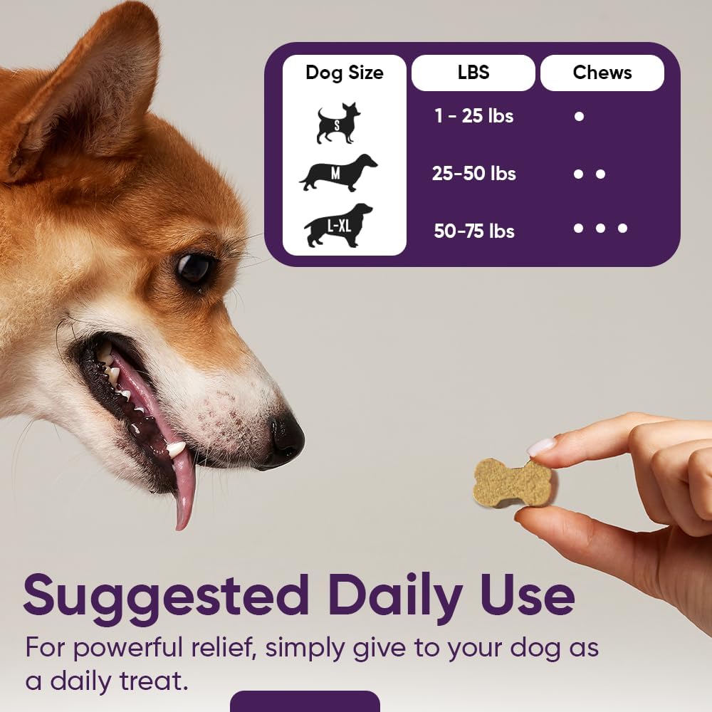 iHeartDogs 3-in-1 Probiotic for Dogs with Pumpkin for Improved Digestion & Gut Health - Dog Probiotics and Digestive Enzymes, 90 Count