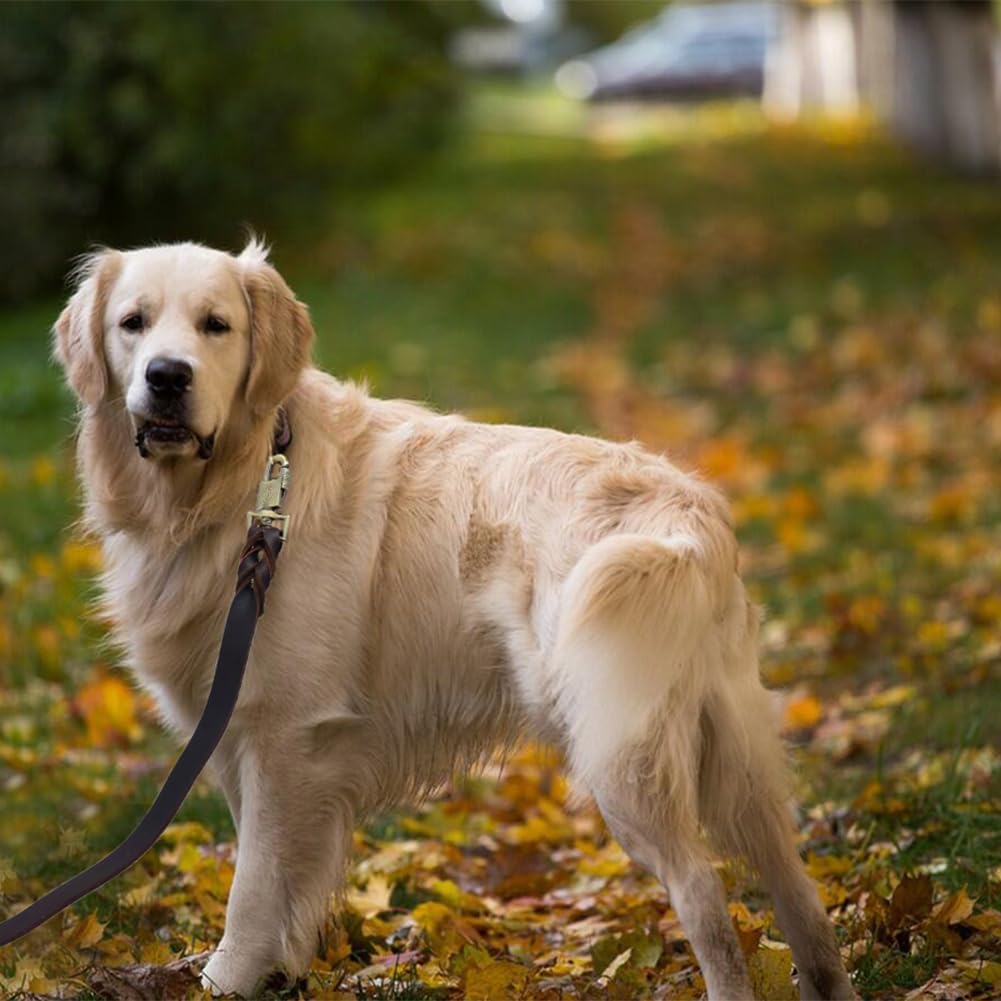 LWBMG Leather Dog Leash 3 ft Upgrade Braided Thick Genuine Leather Dog Leash with Lock Head Hook Short Heavy Duty Pet Training Lead for Medium Large Dogs