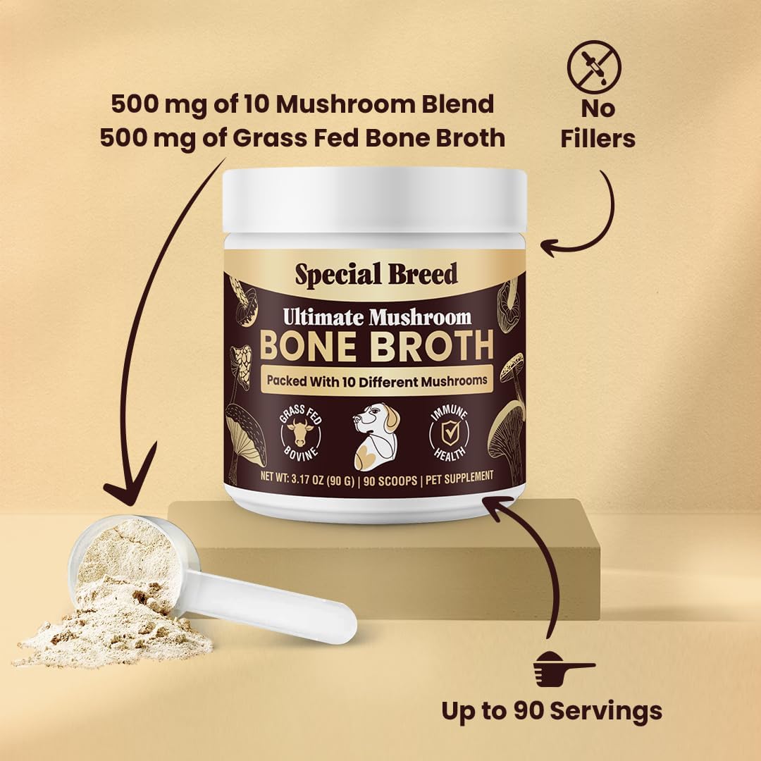 Beef Bone Broth for Dogs - Dog Bone Broth Powder with Ten Organic Mushrooms - High Protein + Ten Mushroom Supplement for Joint Flexibility, Immune Support, Cognition, Vitality, Hydration - 90 Scoops