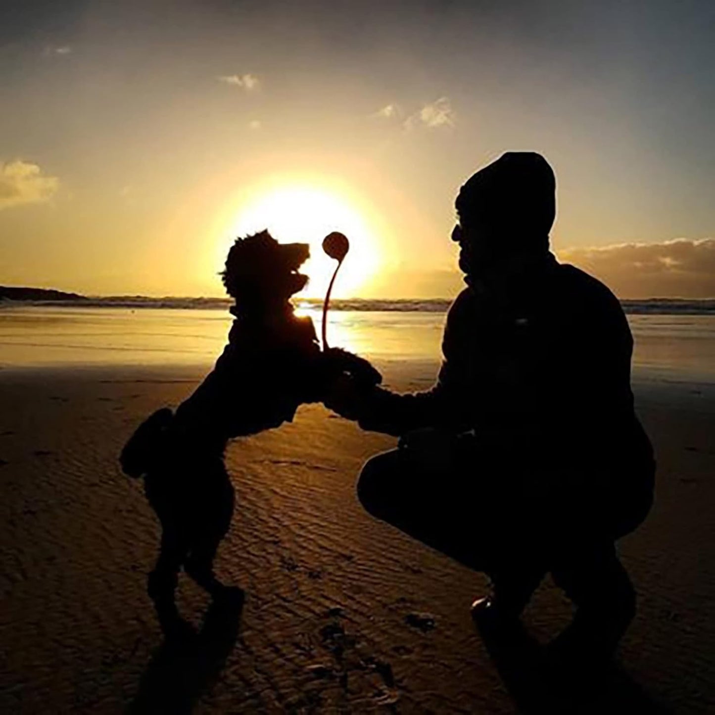 Chuckit! Dog Ball Launcher - Junior 18" with Medium (2.5"), Dog Fetch Ball Thrower, For Dogs 20-60 Pounds, Made in USA