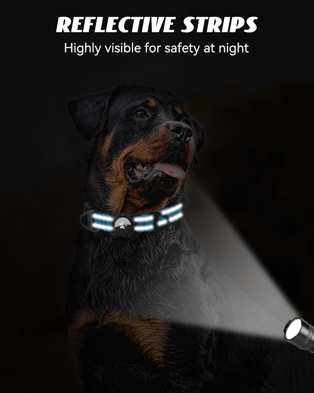 Joytale Airtag Dog Collar, Reflective Pet Collar with Waterproof AirTag Holder, Dual D-Rings, Soft Padded Adjustable for Small Dogs, SkyBlue, S