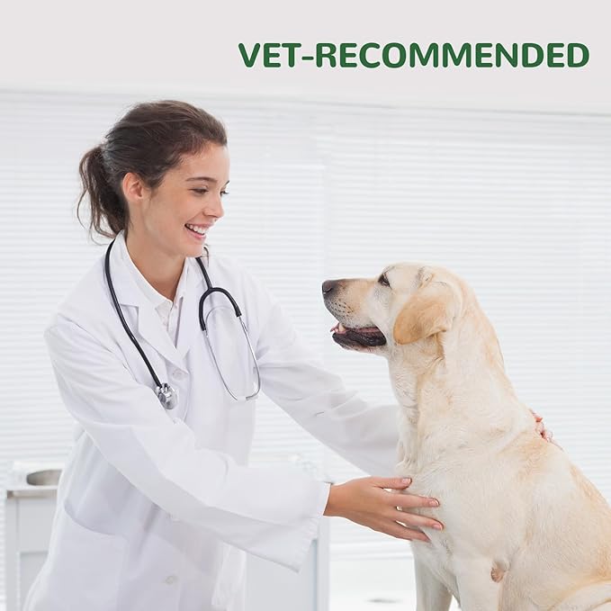 Dog Allergy Relief Chews, Dog Itch Relief Chews for Large Dogs Paw Licking Itchy Skin, Probiotics with Turmeric Astragalus Omega-3 for Seasonal Allergies Coat Immune Supplement-300ct